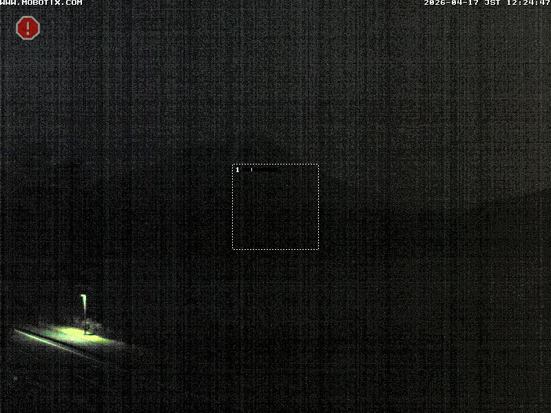 Camera Live Image